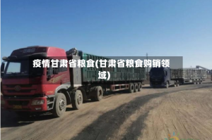 疫情甘肃省粮食(甘肃省粮食购销领域)