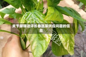 关于胡锡进评长春蔬菜供应问题的信息