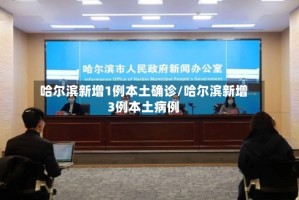 哈尔滨新增1例本土确诊/哈尔滨新增3例本土病例