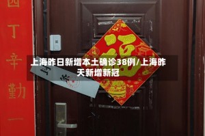 上海昨日新增本土确诊38例/上海昨天新增新冠