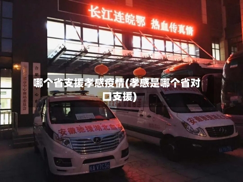 哪个省支援孝感疫情(孝感是哪个省对口支援)-第2张图片
