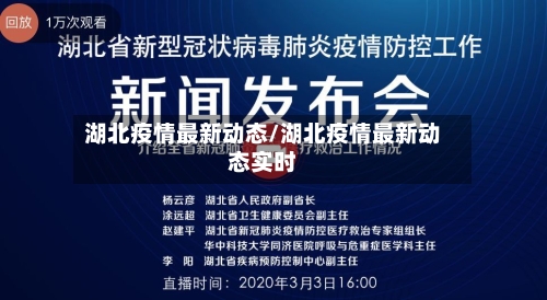 湖北疫情最新动态/湖北疫情最新动态实时-第3张图片