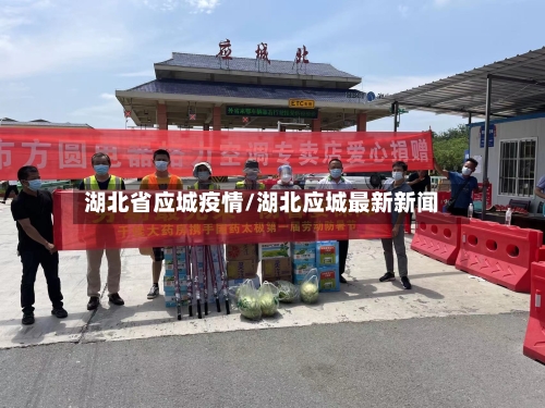 湖北省应城疫情/湖北应城最新新闻-第1张图片