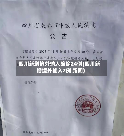 四川新增境外输入确诊24例(四川新增境外输入2例 新闻)-第3张图片