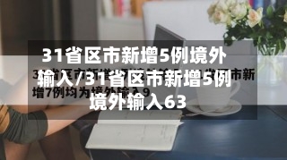 31省区市新增5例境外输入/31省区市新增5例境外输入63-第3张图片