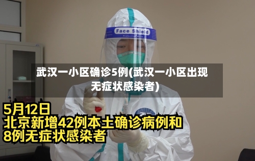 武汉一小区确诊5例(武汉一小区出现无症状感染者)-第1张图片