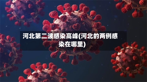河北第二波感染高峰(河北的两例感染在哪里)-第1张图片