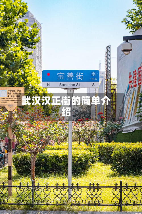 武汉汉正街的简单介绍-第3张图片