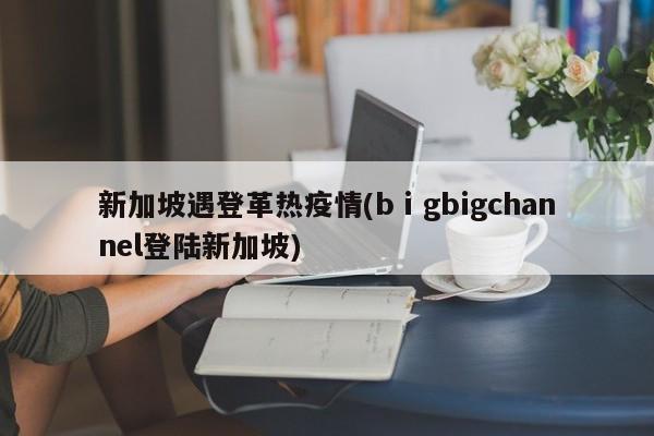 新加坡遇登革热疫情(bⅰgbigchannel登陆新加坡)